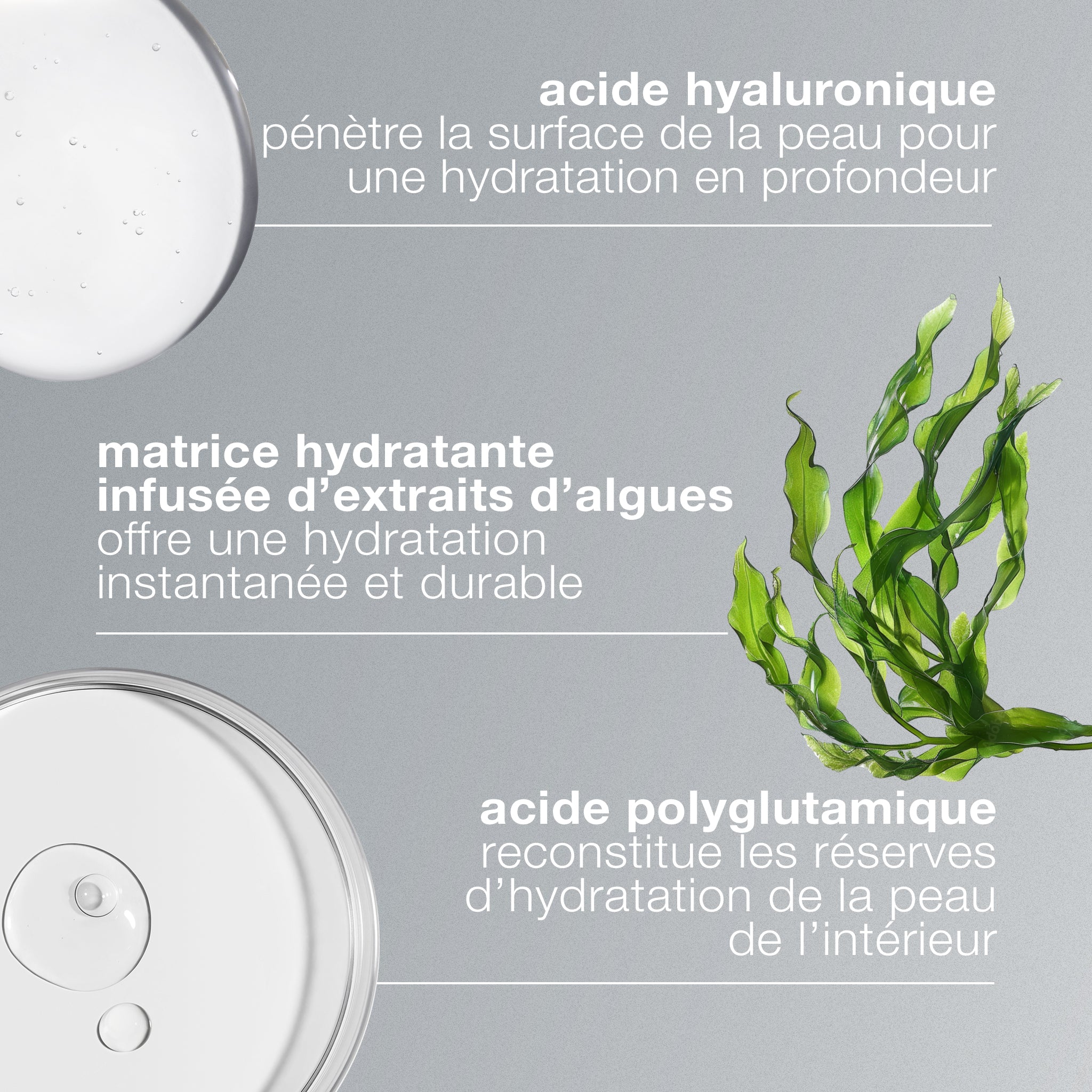 circular hydration serum | sérum hydratant à l'acide hyaluronique - Image 3
